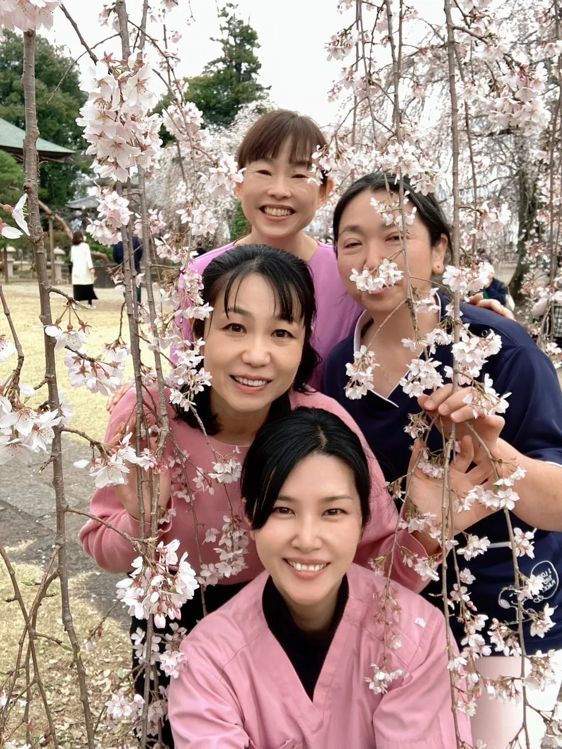 訪問の合間で昼休み🌸