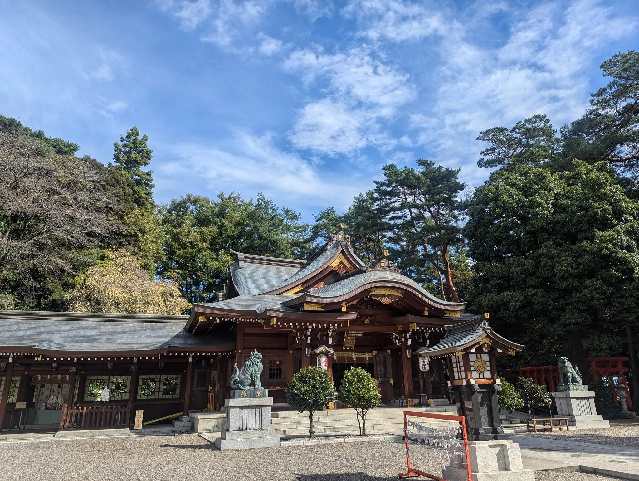 土日も点滴を必要とする