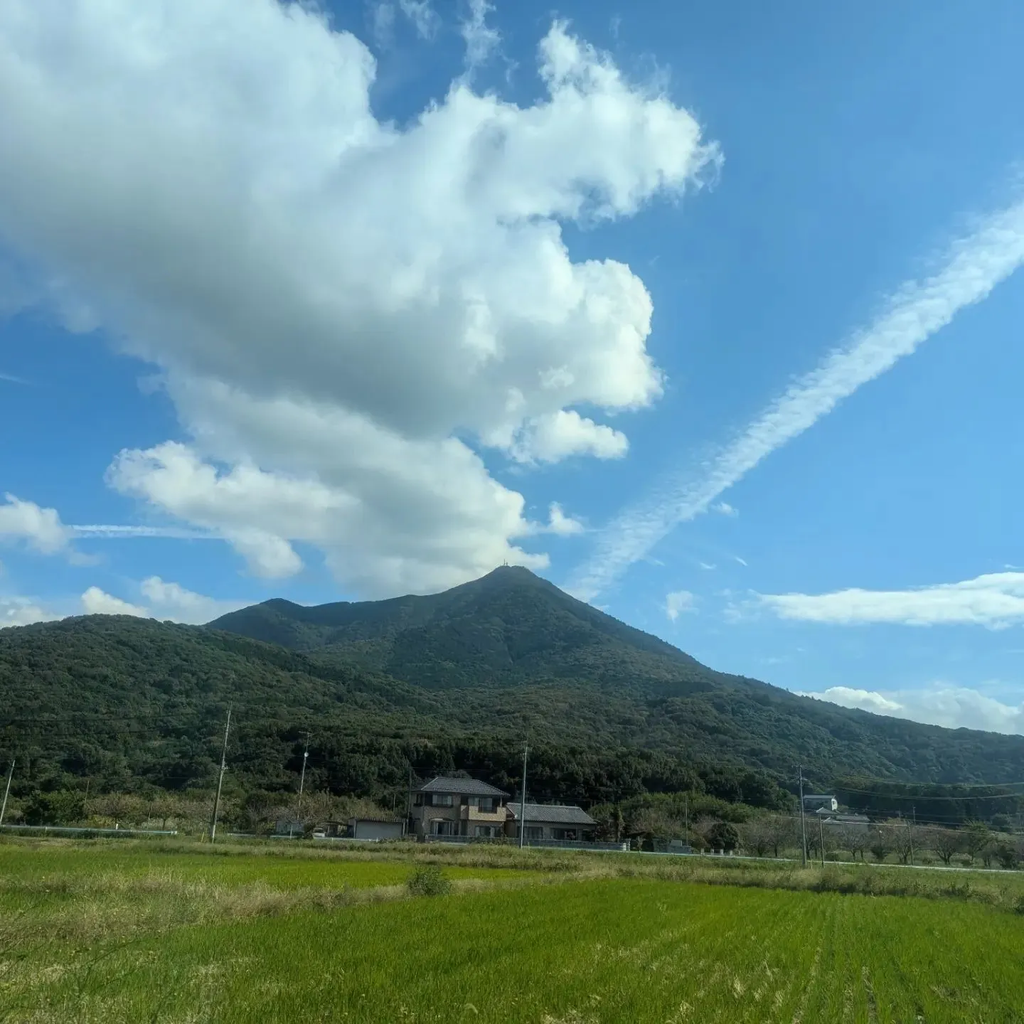 母に貰った登山靴を履いて👟