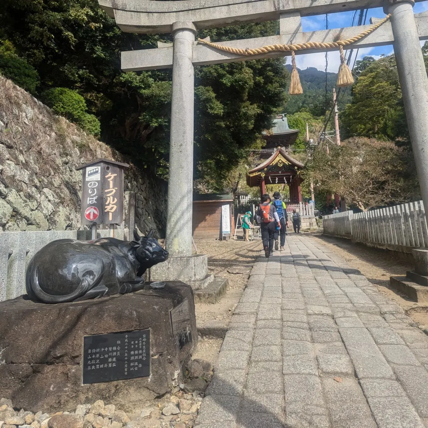 母に貰った登山靴を履いて👟